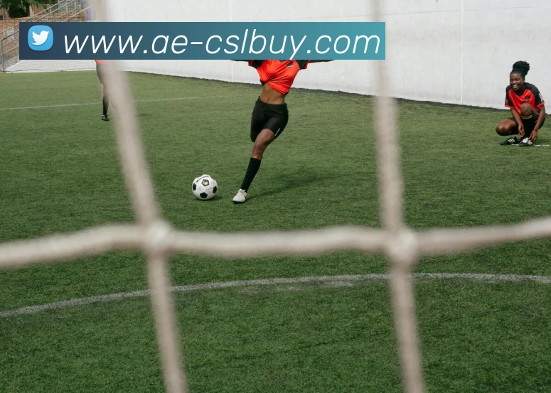 中超买球官网平台生态图