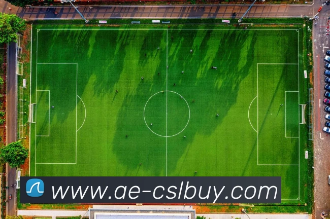 中超买球官网全站App